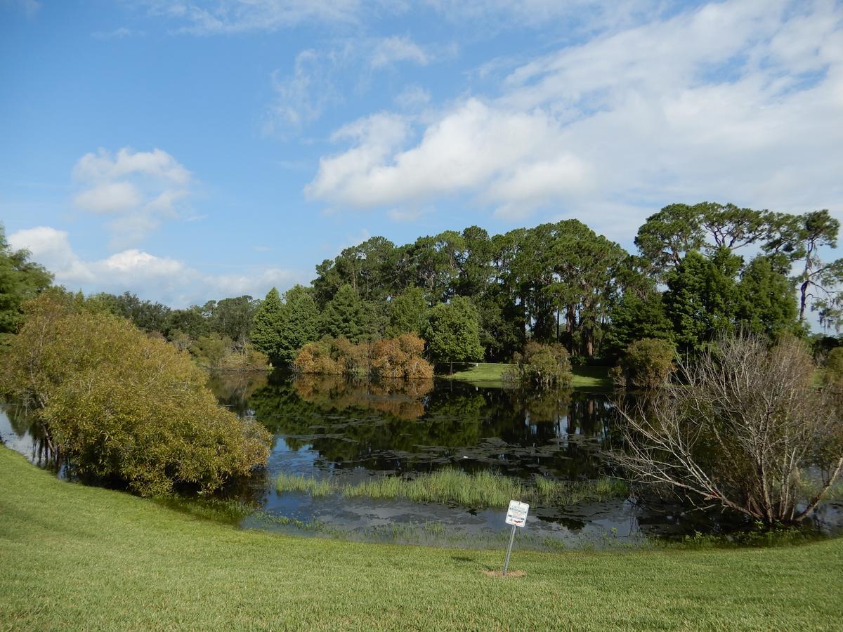 Bahama Bay Villa Kissimmee Eksteriør bilde